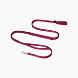 BA Hands-Free Dog Leash
