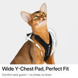 Escape-Proof Y-Shape Harness