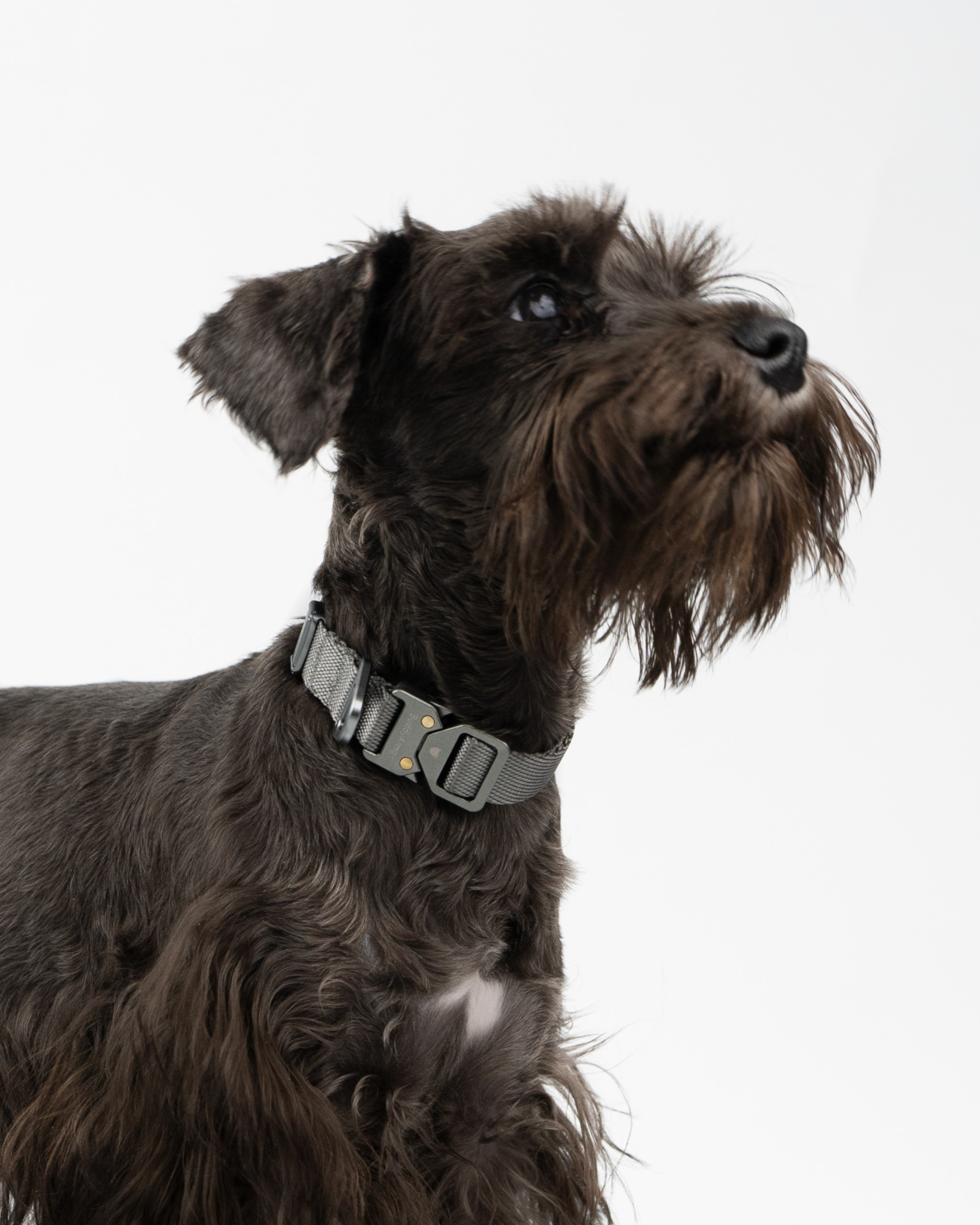 Light Alloy Dog Collar Pro