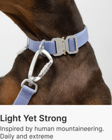 Light-Alloy Leash (Pro)