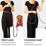 All-Weather Harness Leash SET