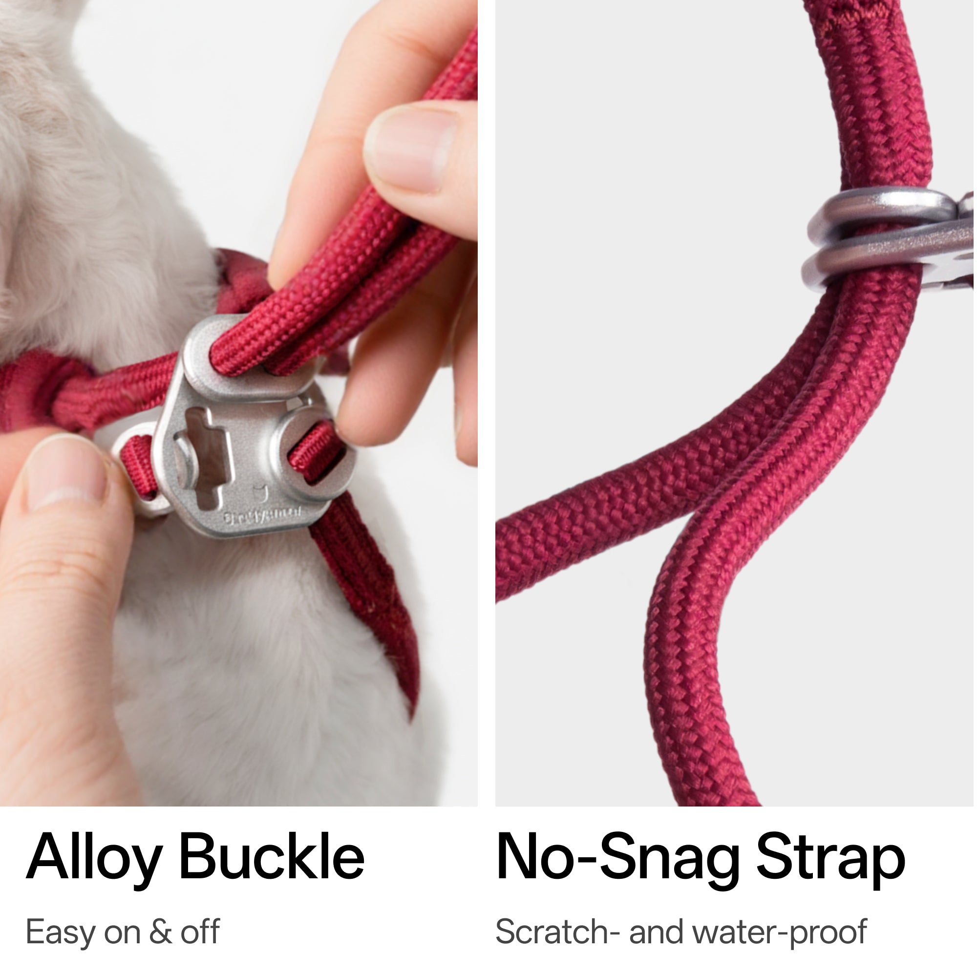 Escape-Proof Y-Harness and Leash Set