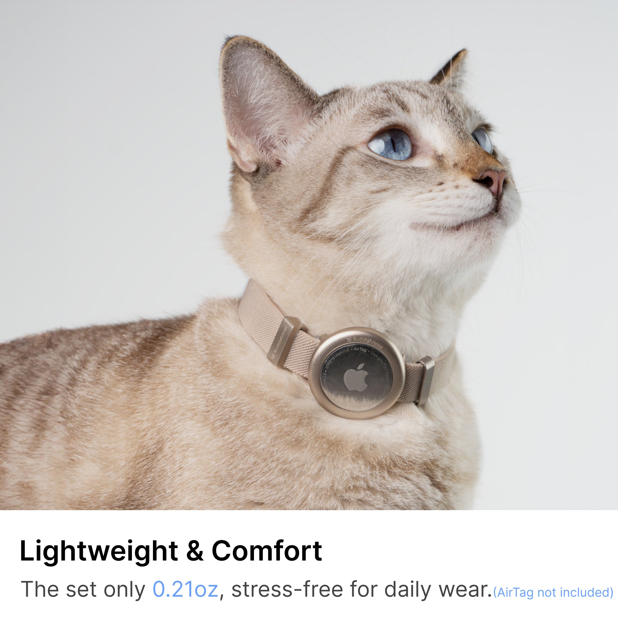 Safety Cat Collar Pro + AirTag Holder