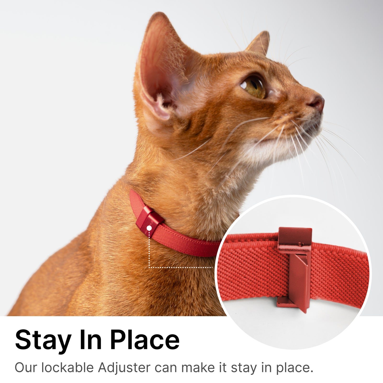 Anti-Choking Cat Collar (Elastic Webbing Pro)