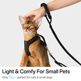 Hands-Free Leash (Cord)