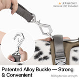 Light-Alloy Leash