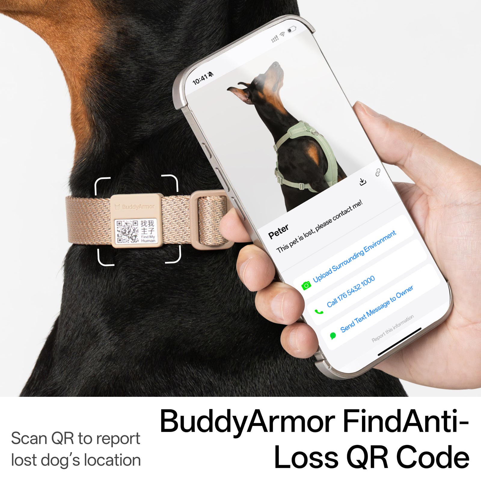 All-Weather Collar (Light)