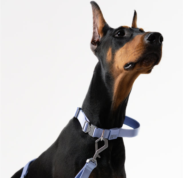Light-Alloy Collar