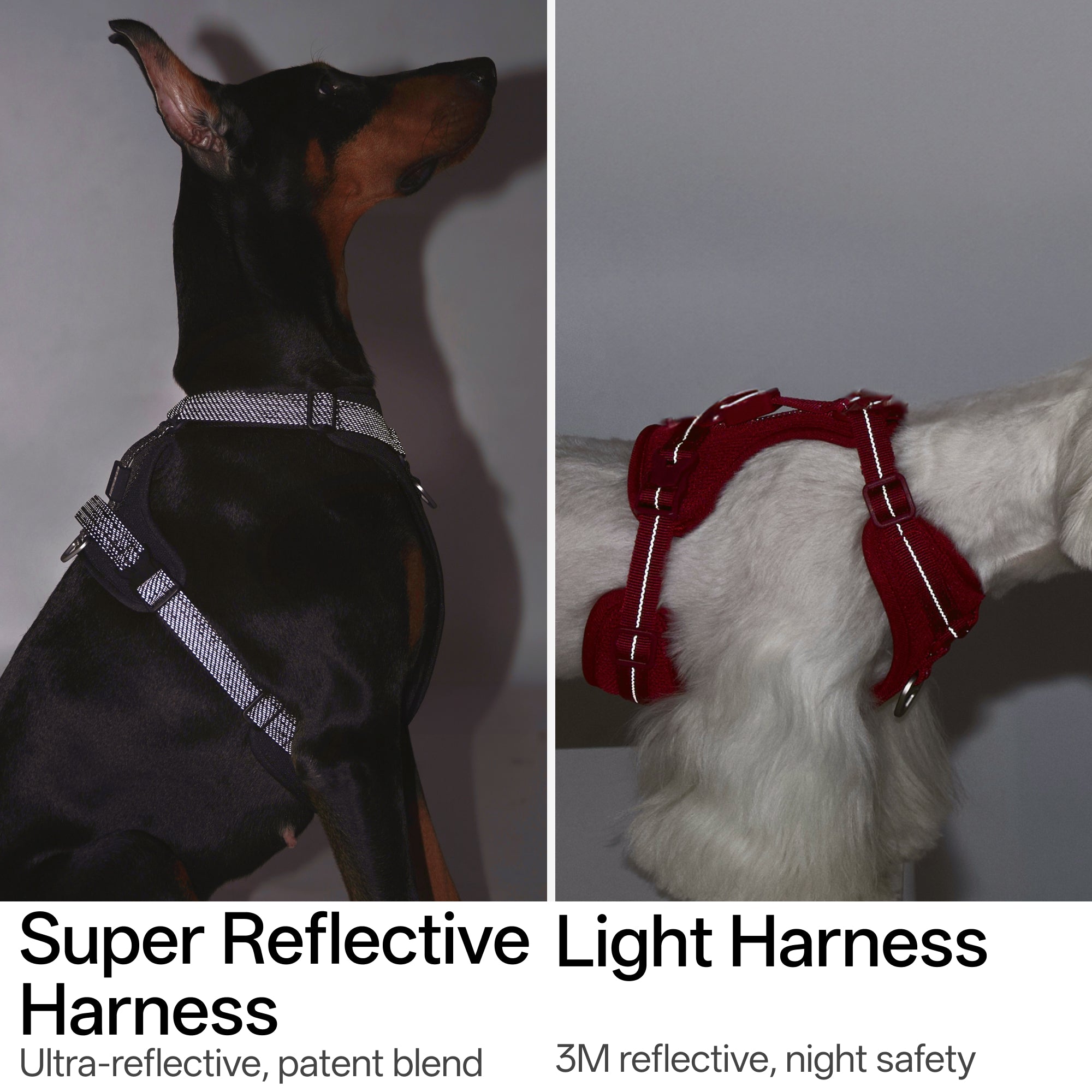 All-weather Harness Super Reflective/Light
