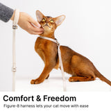 Escape-Proof Harness (8-Shape)