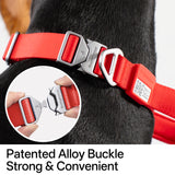 Light-Alloy Collar (Pro)