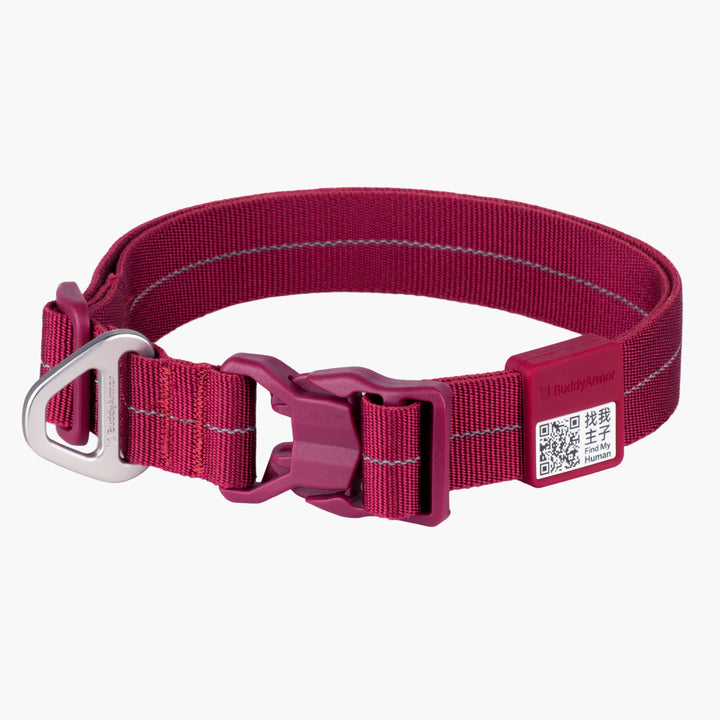 All-Weather Collar (Light)