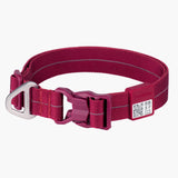 All-Weather Dog Collar Light/Super Reflective