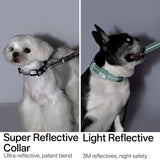 All-Weather Dog Collar Light/Super Reflective