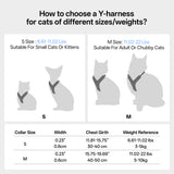 Escape-Proof Y-Shape Harness