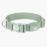 All-Weather Collar (Light)