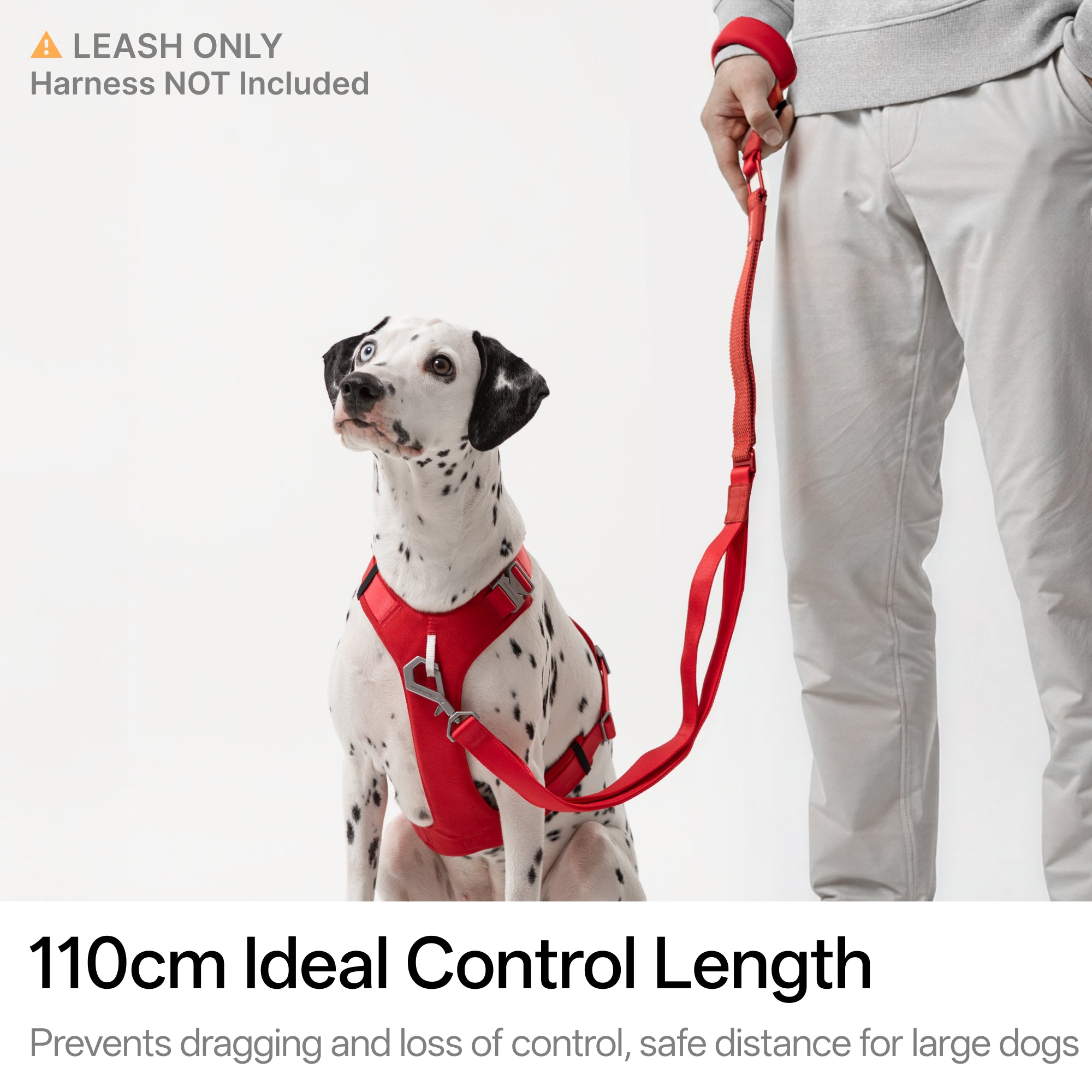 Light-Alloy Leash