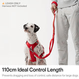 Light-Alloy Leash