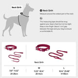 All-Weather Collar (Super Reflective)