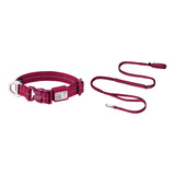 All-Weather Collar (Super Reflective)