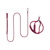 Escape-Proof Y-Harness and Leash Set