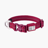 All-Weather Dog Collar Light/Super Reflective