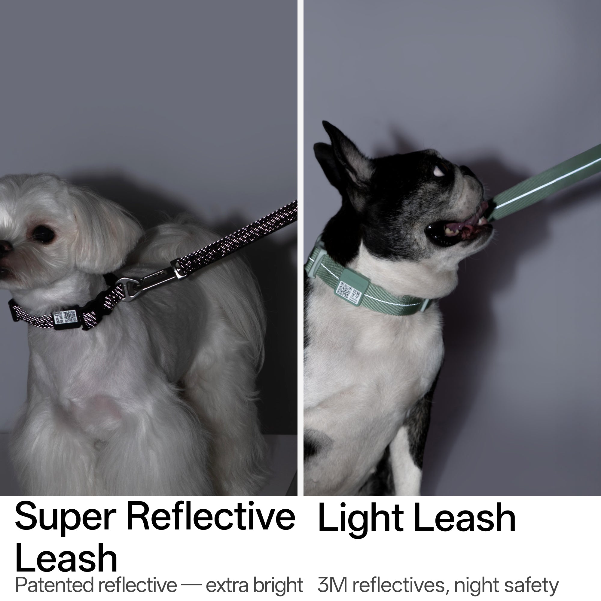 BA Hands-Free Dog Leash