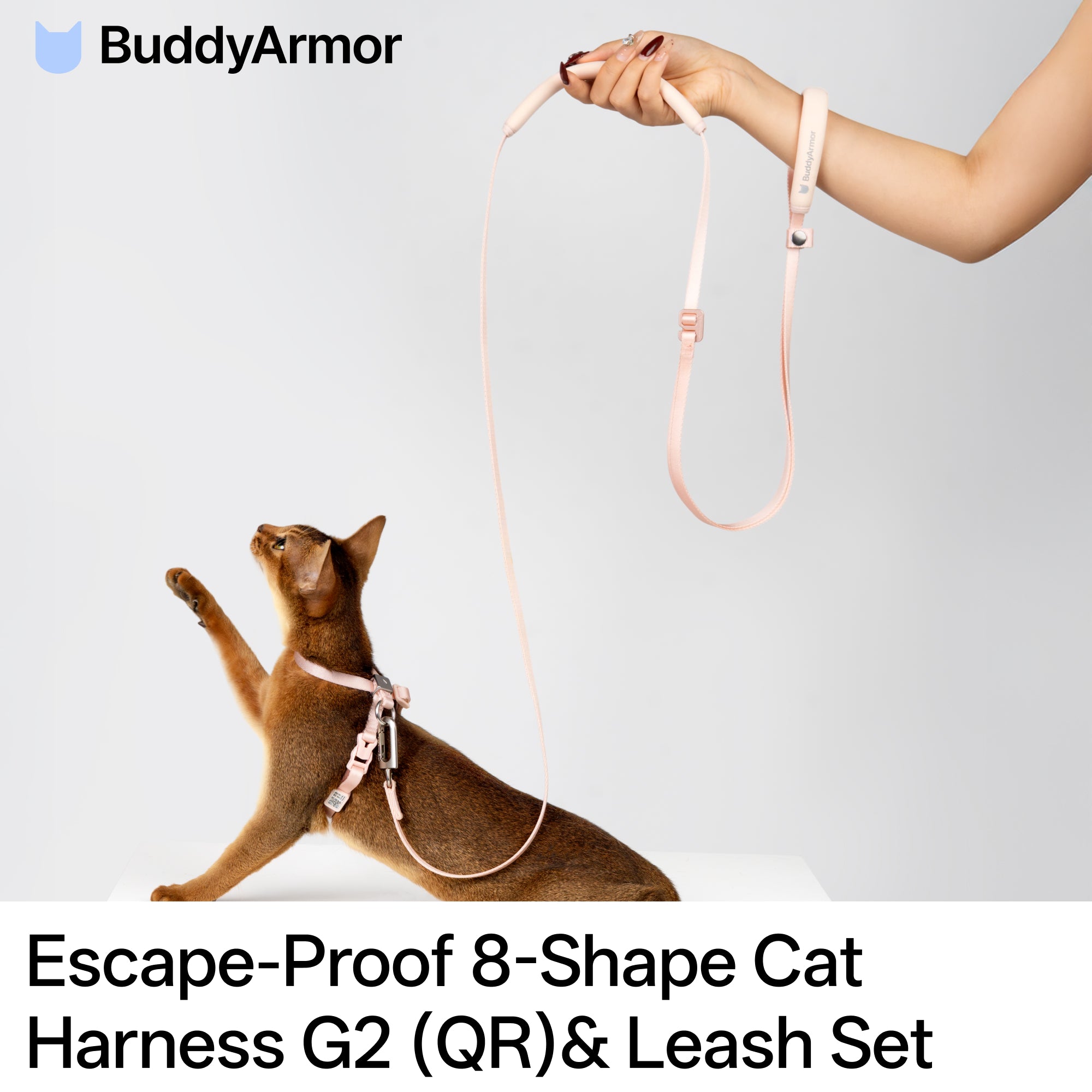 Escape-Proof 8-Shape Cat Harness G2 (QR)& Leash Set