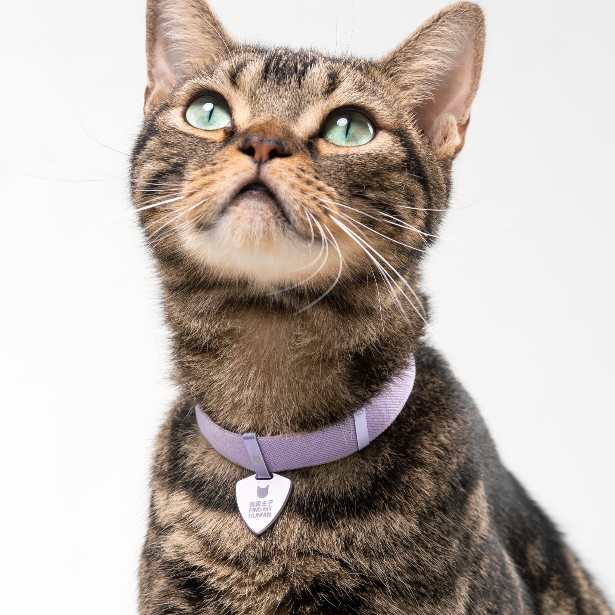 Anti-Lost QR Tag (Metal) Cat Collar KIT