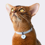 Anti-Choking Cat Collar (Elastic Webbing Pro)