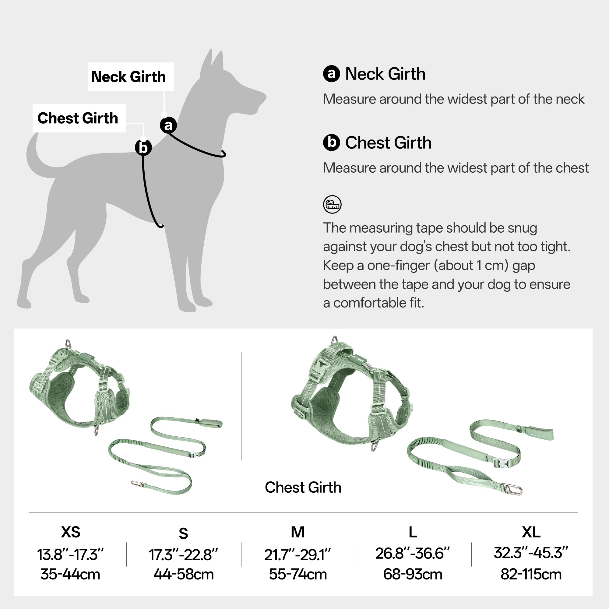 All-Weather Harness Leash SET