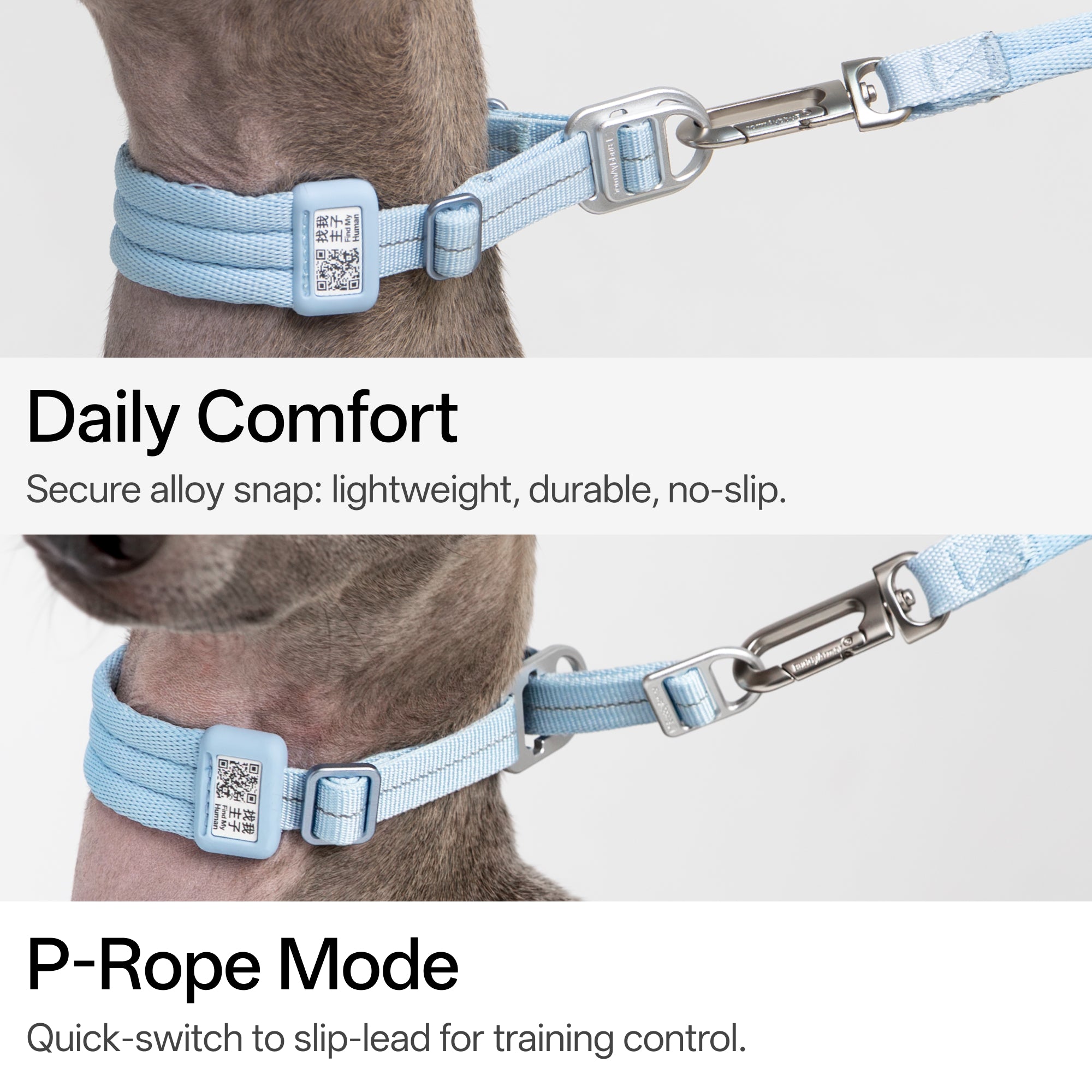 Ultra-Comfort  Fluffy Collar(QR)&Leash Set