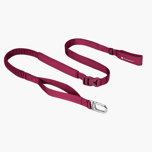Hands-Free Leash (Super Reflective)