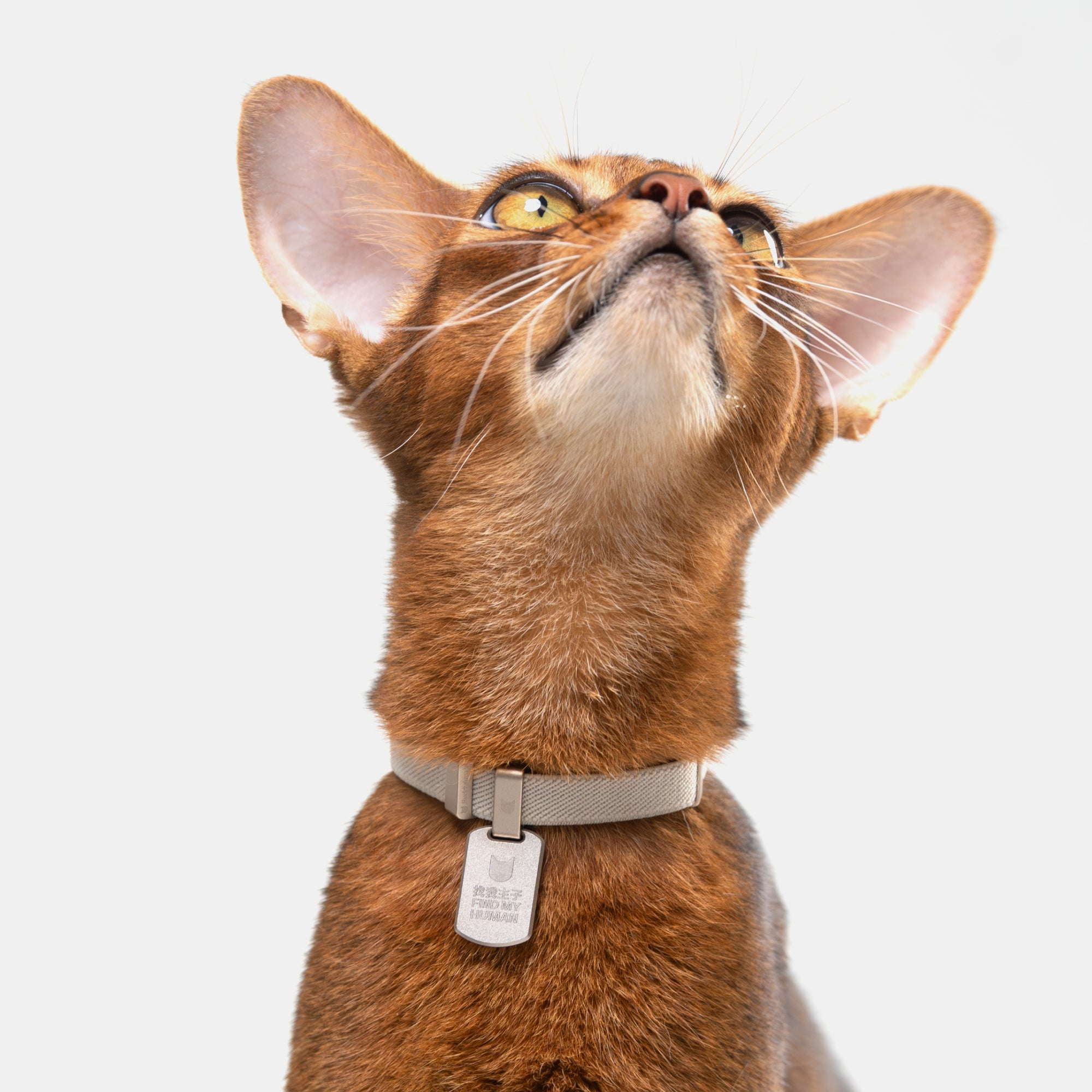 Anti-Lost QR Tag (Metal) Cat Collar KIT