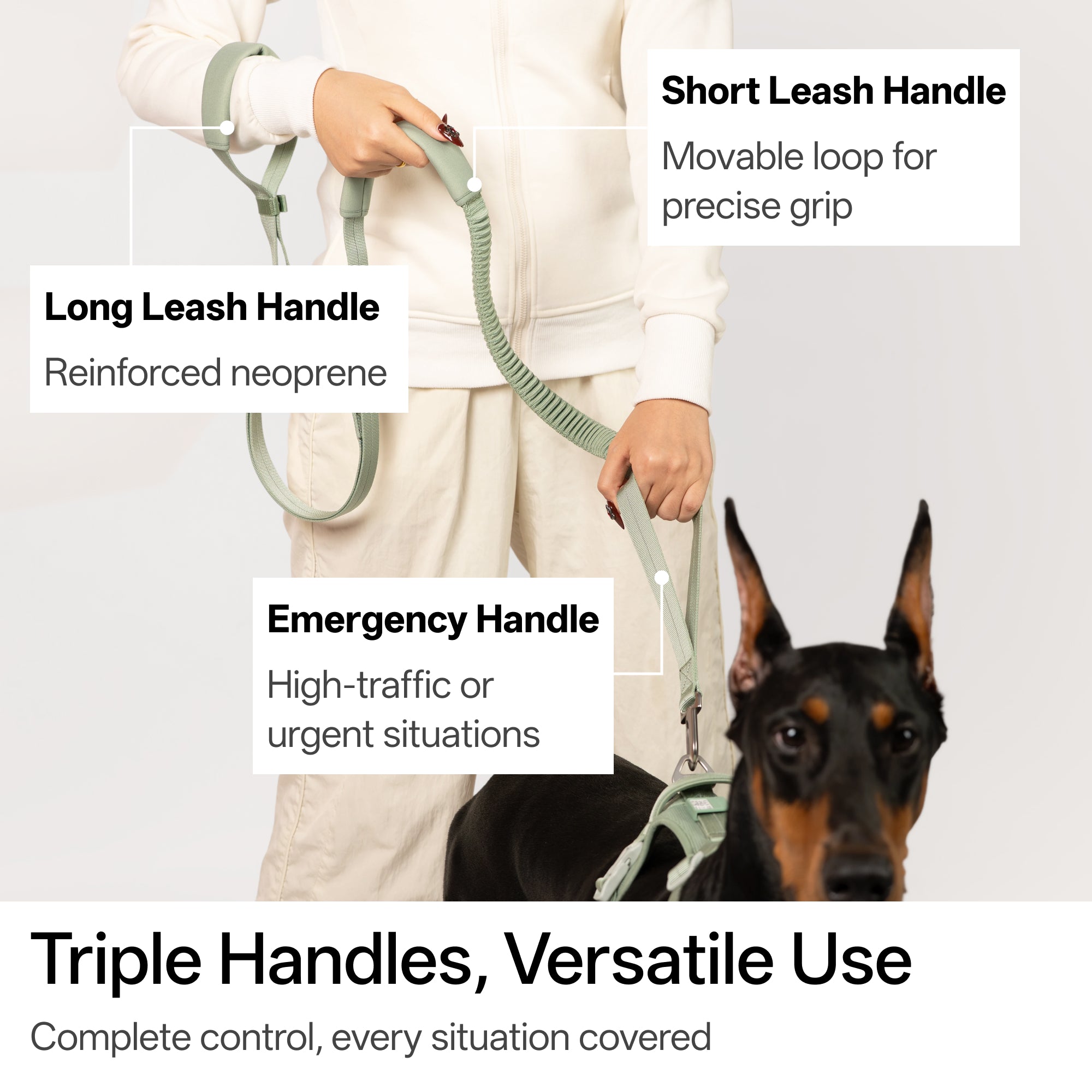 BA Hands-Free Dog Leash