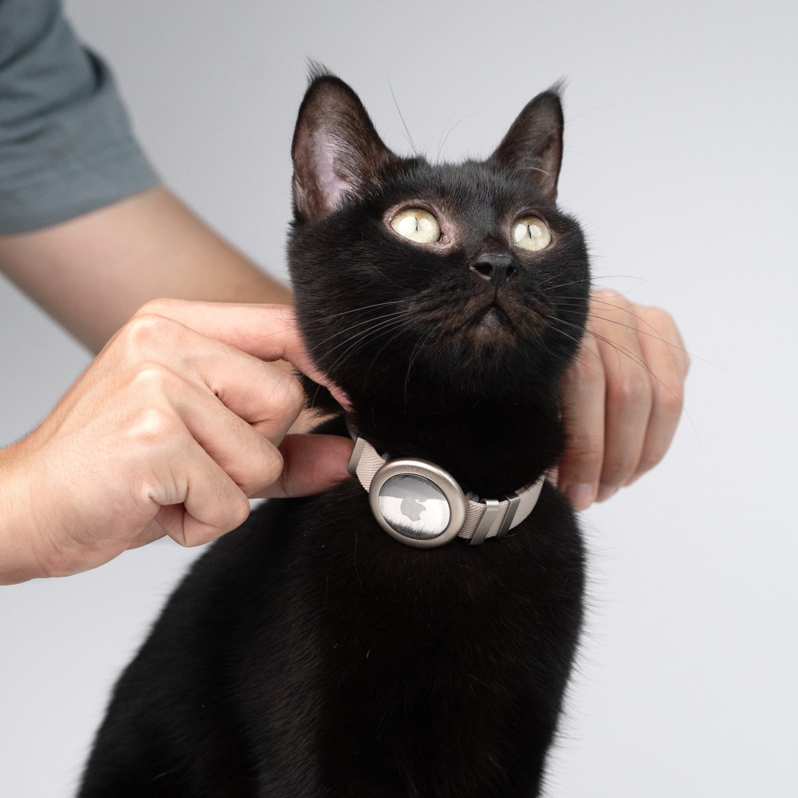 Anti-Lost AirTag Collar (Leather）