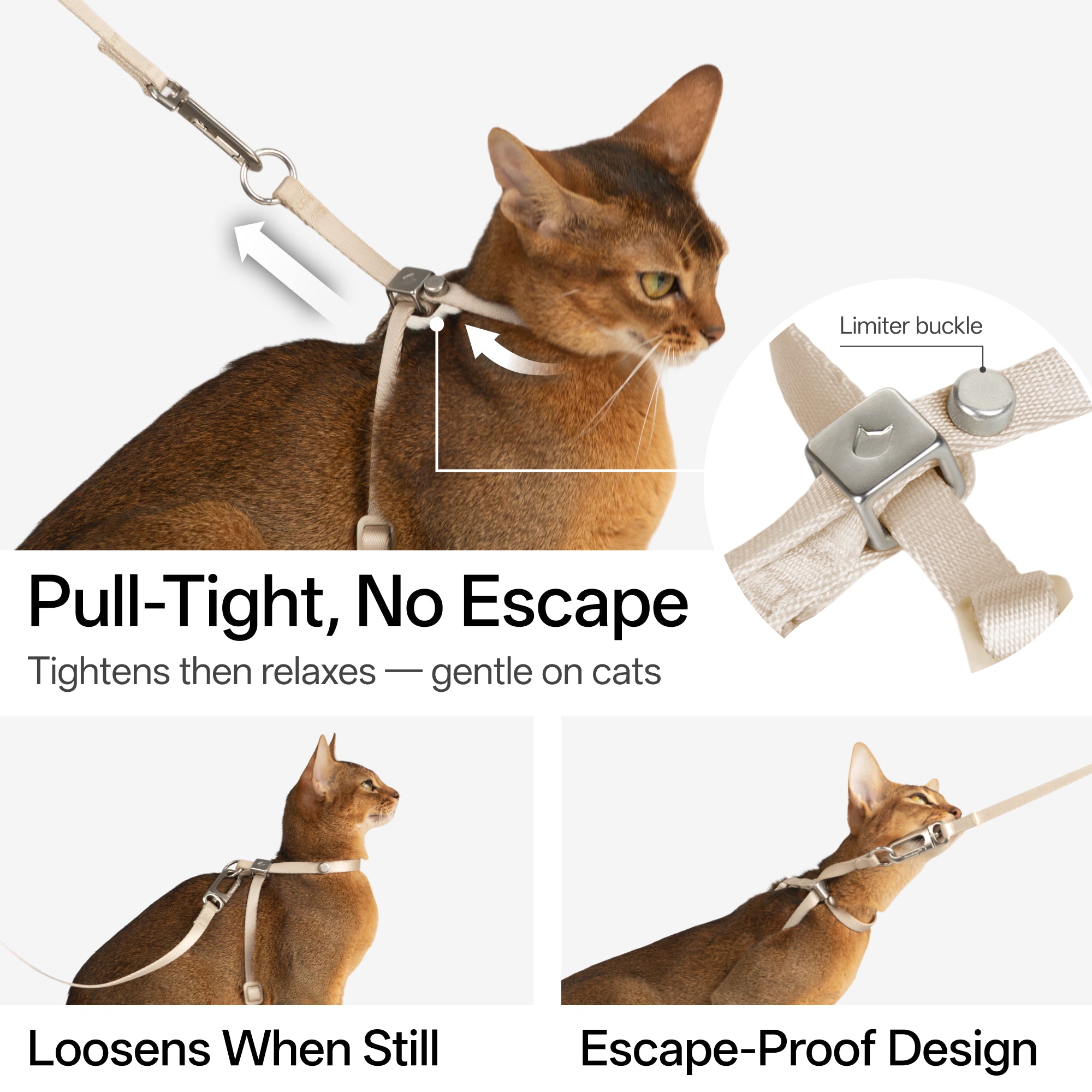 Escape-Proof 8-Shape Cat Harness G2 (QR)& Leash Set