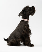 Light-Alloy Collar