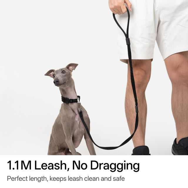 Ultra-Comfort Fluffy Leash