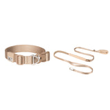 All-Weather Collar (Super Reflective)