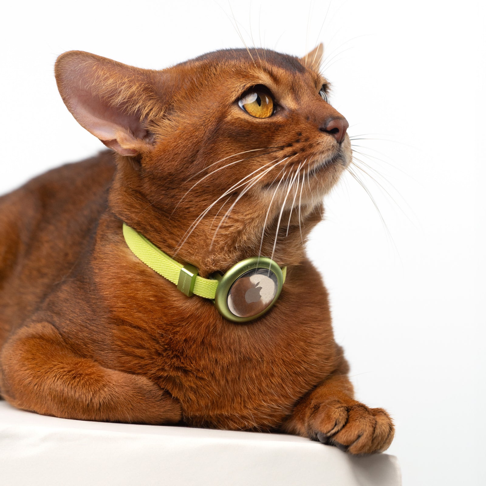 Anti-Lost AirTag Collar (Leather）