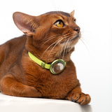 Safety Cat Collar Pro + AirTag Holder