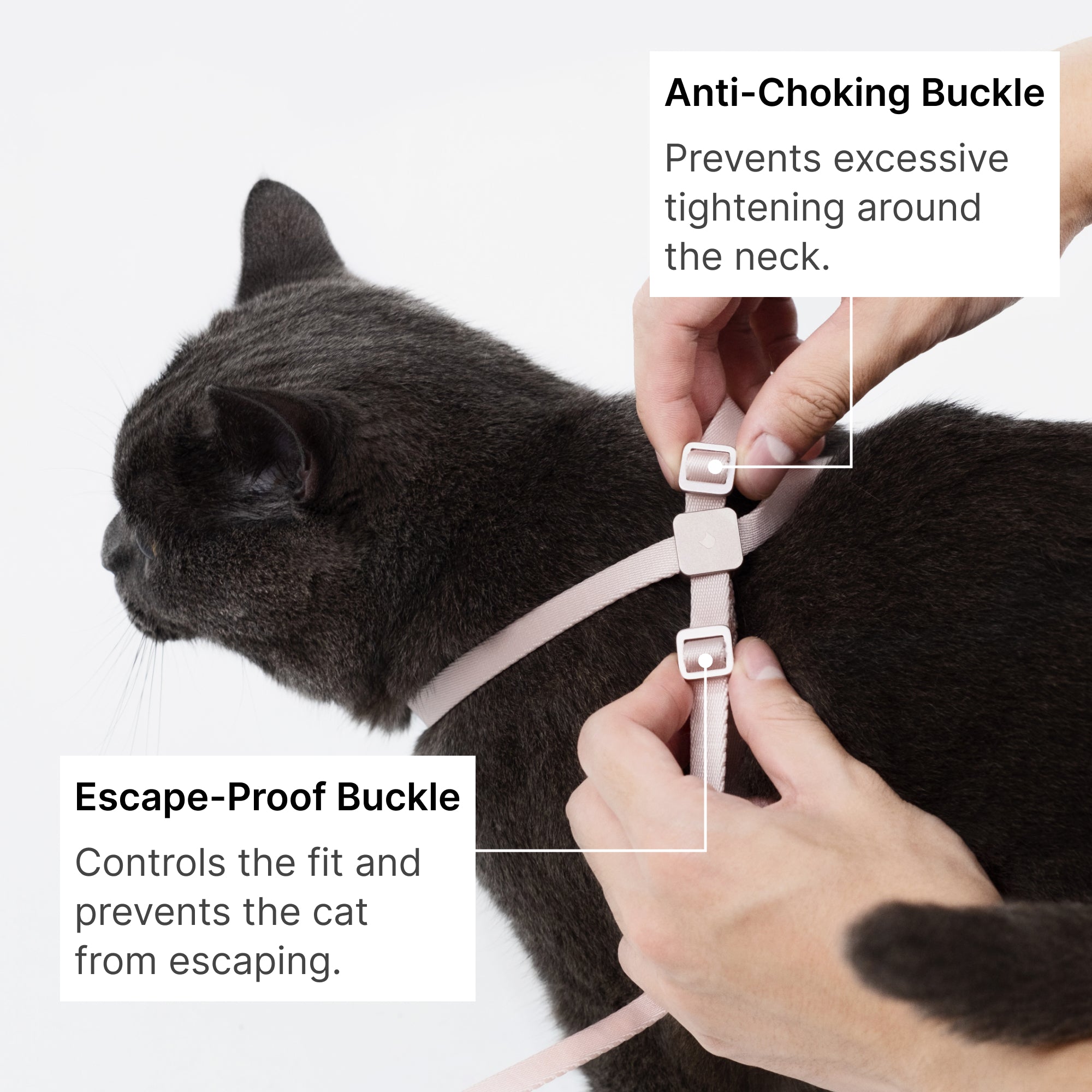 Lightweight Cat Leash + Escape-Proof Training Harness