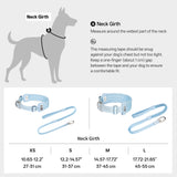 Ultra-Comfort  Fluffy Collar(QR)&Leash Set