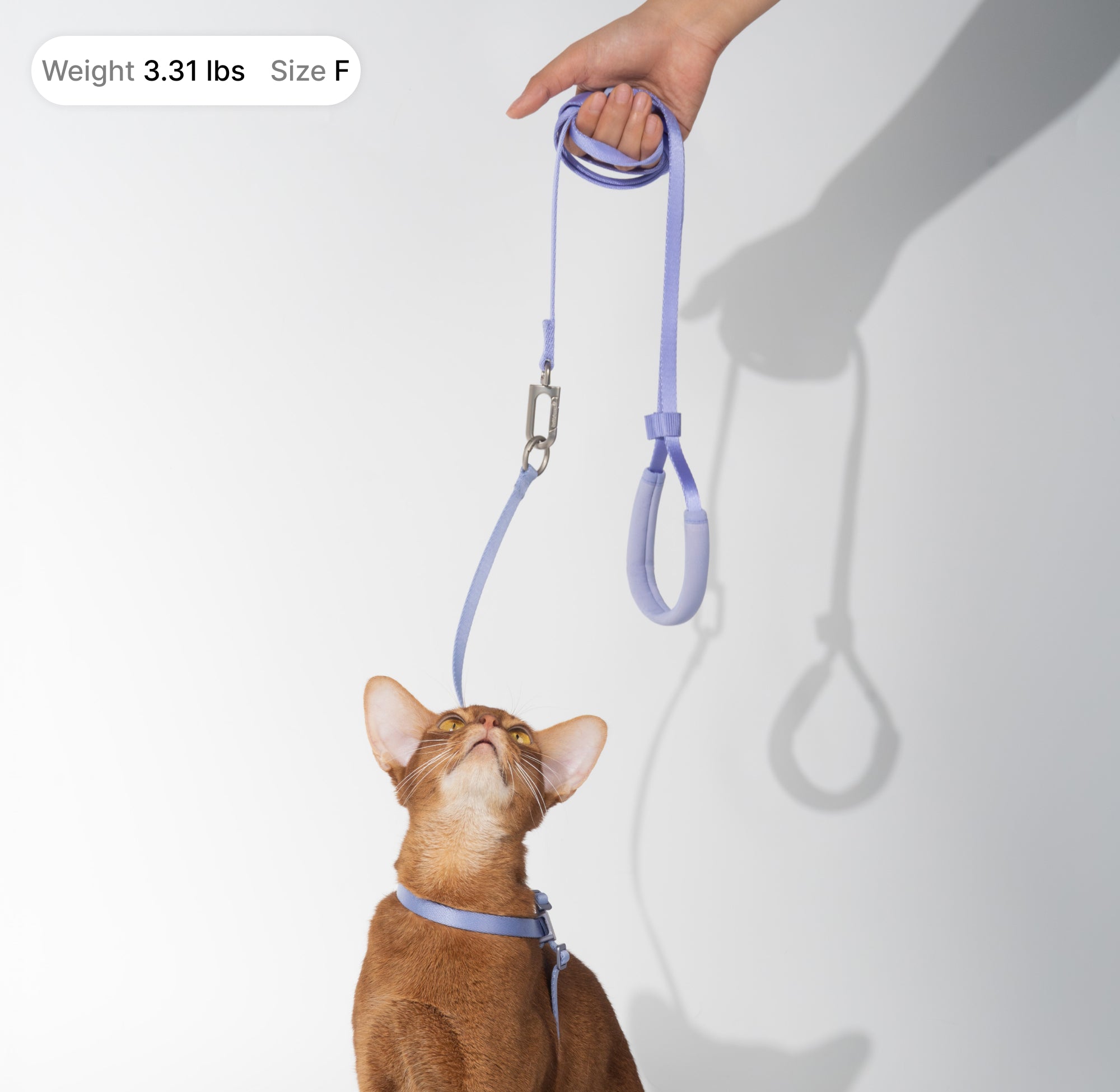 Lightweight Cat Leash + Escape-Proof Training Harness