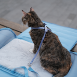 Escape-Proof Harness (8-Shape)