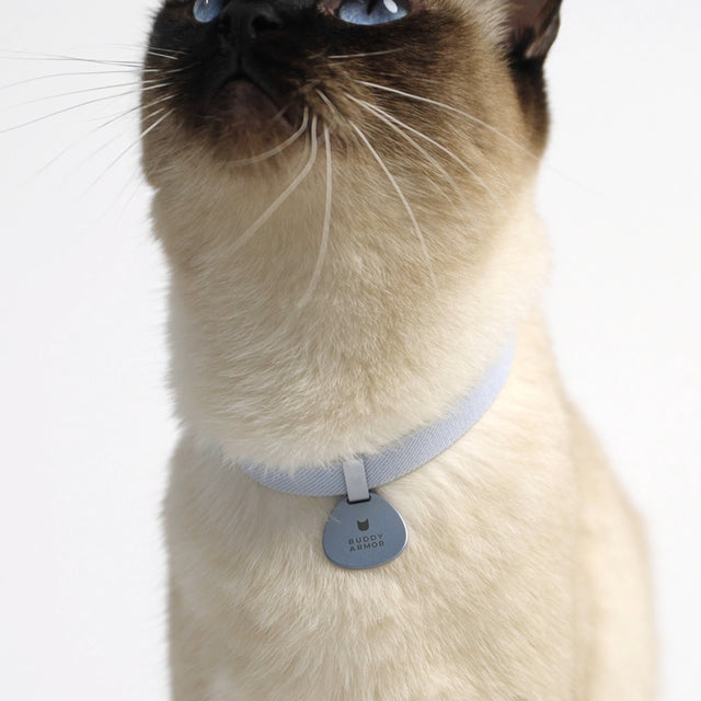 Pocket Cat Tag