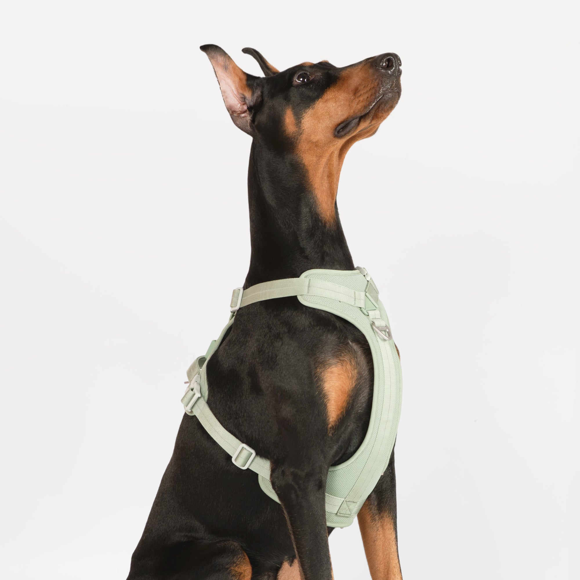 All-weather Harness Super Reflective/Light