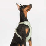 All-weather Harness Super Reflective/Light