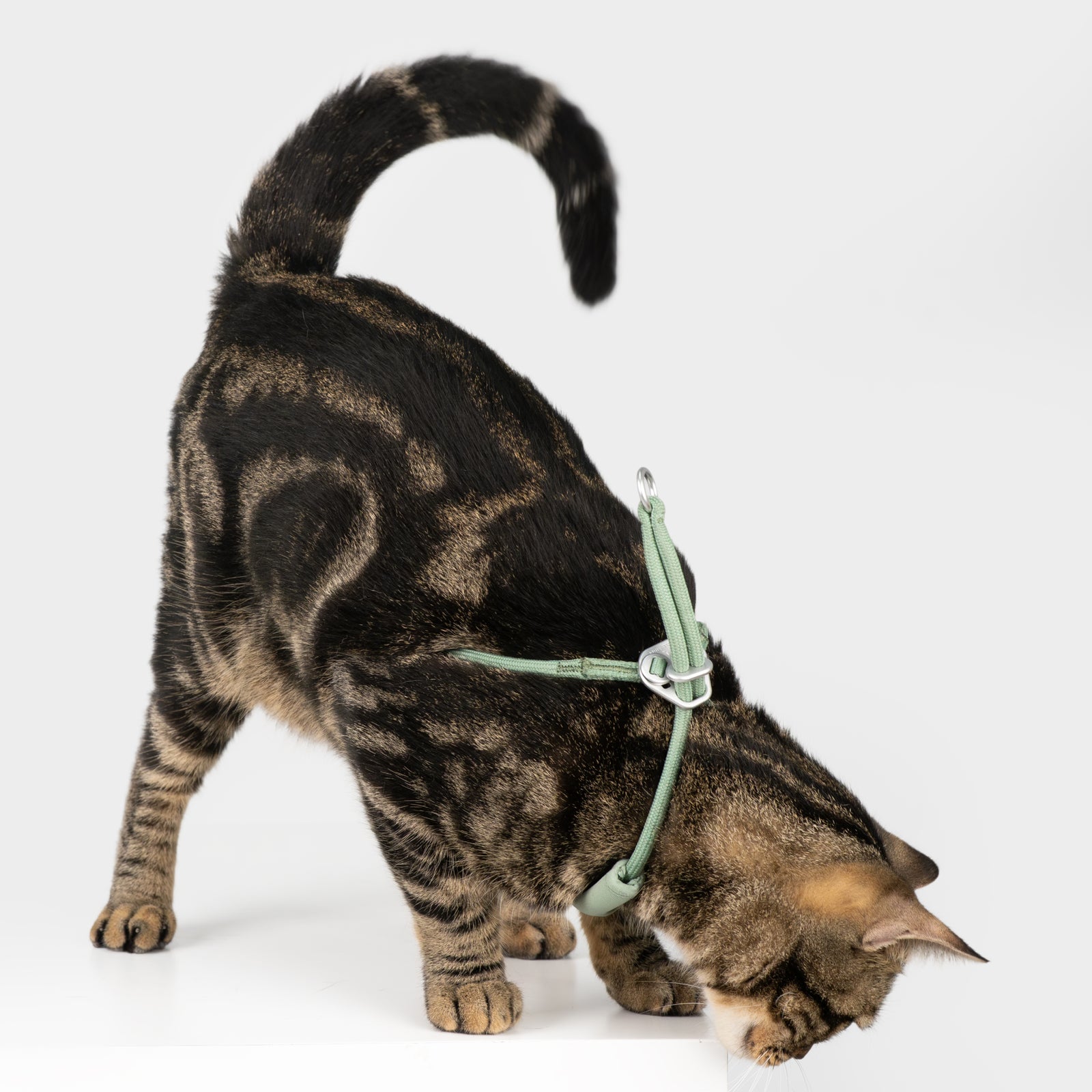 Escape-Proof Harness (Y-Shaped)